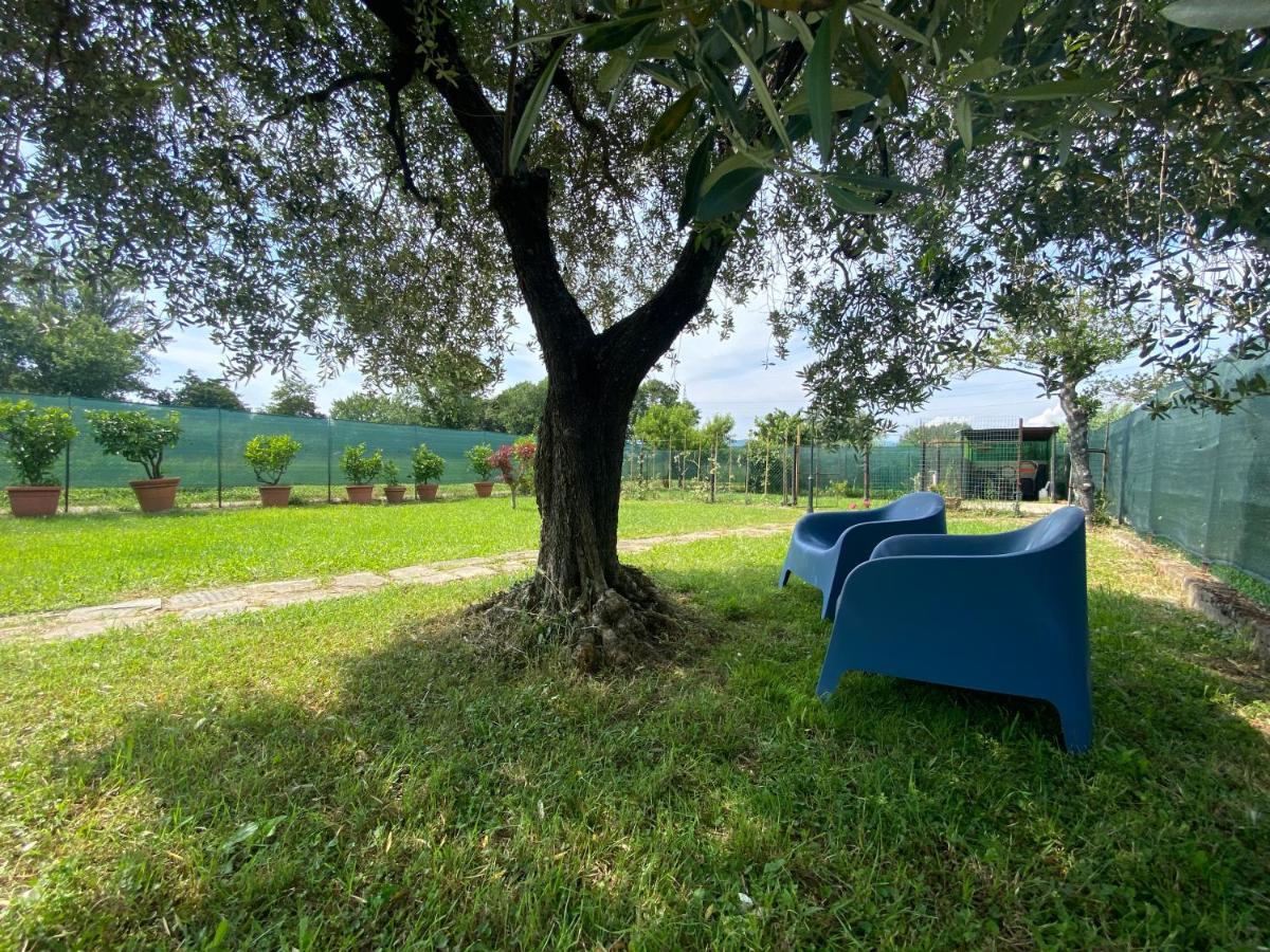 Casa Marcobando Villa Lucca Bagian luar foto