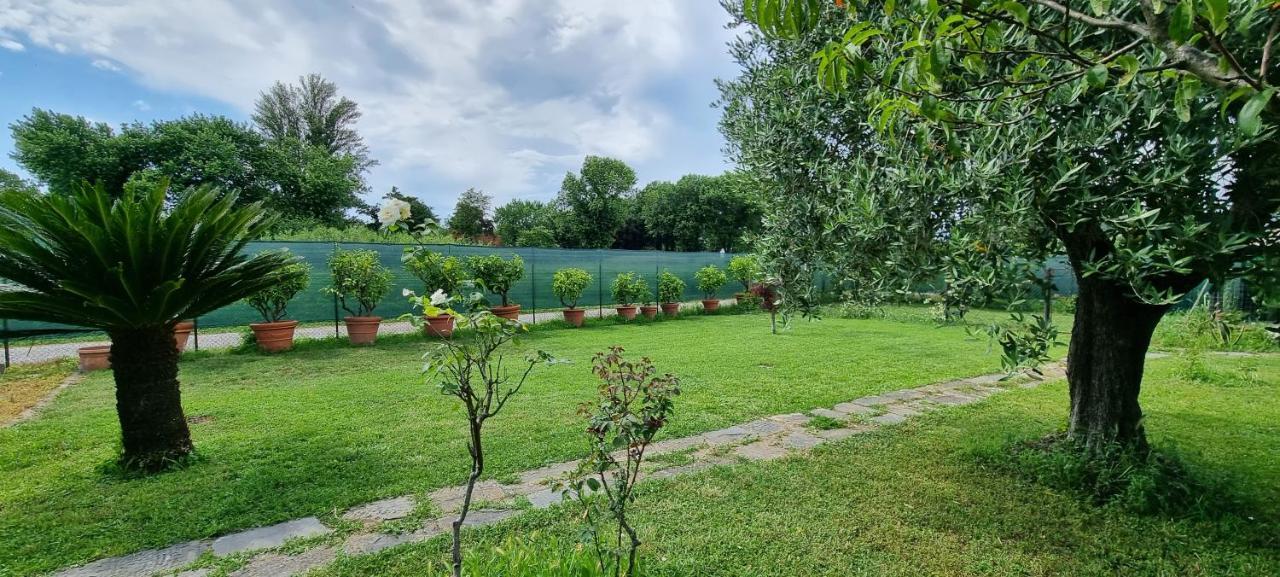 Casa Marcobando Villa Lucca Bagian luar foto